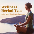 Ginger Tea Bags, 50 Teabags, 2g/bag - Premium Ginger Root Tea Bag - Warm & Spicy - Non-GMO - Caffeine-free - Support Digestion & Boost Immunity