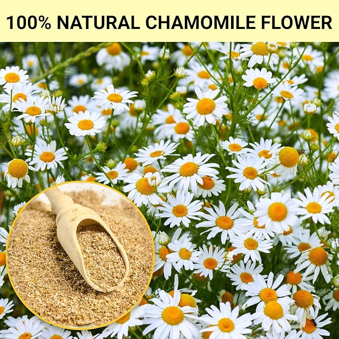 Chamomile Tea Bags, 100% Pure and Natural Chamomile Flower Herbal Tea, Caffeine Free Promote Relaxation & Support Digestion (1 Pack/50 Bags)
